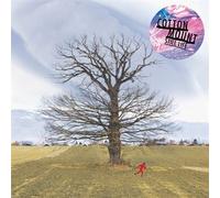 Cotton Mount - Still Life [Import]