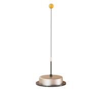 CoudarTitie Kit Pratica da Solo con Base Stabile in Acciaio Spesso E Asta Elastica di Ritorno Palla per Allenamento Tecnico Individuale atto per Palestra di Casa E Quotidiano ulti