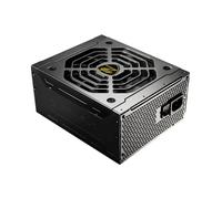 Cougar GEX 1050W 80 Plus Oro Modulare