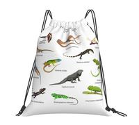 Coulisse Tasche, Different Types of Lizard Sacca Sportiva Stampa Fashion Zaino Scuola per Donna Festival All'aperto 36X42cm