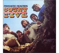COUNT FIVE - Psychotic Reaction