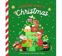 Counting down to Christmas: Advent Book with Festive Flaps