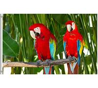 Couple Of Macaws Parrot Birds In Nature Tropical Wildlife Animal Bandiera Esterna 90X150Cm Resistenti Bandiere Da Cortile Tutte Le Stagioni Bandiera Vacanza Per Soggiorno Interni Dormitorio