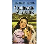 Courage of Lassie