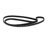 Courroie 1228h6 mael ll Multi-marques