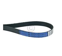 Electrolux AEG Rex cinghia A05625401 ORIGINALE asciugatrice T65 EDC EDH TWL RDH