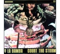 Court The Storm (Vinyl LP)