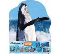 Courtney Acampora Emily Ros Discovery Learning Adventures (Mixed Media Product)