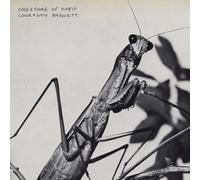 Courtney Barnett - Creature of Habit