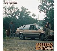 Cousin Tony's Brand New Firebird - Electric Brown