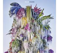 Cousin - Wilco (Vinile)