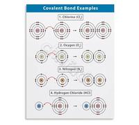 Covalent Bond Examples Chemistry Educational Poster Common Molecular Structures Science Classroom Wall Art(Framed,16x24inch(40x60cm))