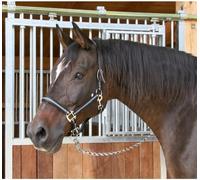 Covalliero Halfter Mustang, Cavezza per Cavalli, Nero/Argento, Poliammide, Full, Taglia 3, Cavalli, Regolabile in 2 Punti, abbinabile alla Cavezza Mustang