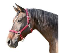 Covalliero Halfter Mustang, Cavezza per Cavalli, Rosso/Nero, Poliammide, COB, Taglia 2, Cavalli, Regolabile in 2 Posizioni, abbinabile alla Cavezza Mustang