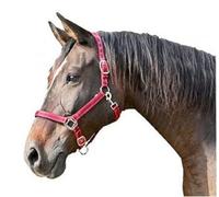Halter completo 2 impostazioni Kerbl mustang Rouge Completo