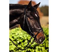 Kerbl 321744 - Cammello per mirtilli Standard, in Pelle, per Sangue Caldo, Colore: Marrone