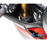 COVER ASPIRAZIONE SINISTRA OPACA CARBONIO ILMBERGER PER DUCATI PANIGALE V4 R 201