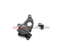 Cover pick-up carbonio BMW M 1000 R post-2025 / Pick-up cover carbon