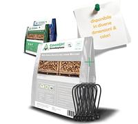 CoverUp! Telo impermeabile bianco 2 x 2 200 g/m² con 10 gomas di fissaggio e occhielli in alluminio - extra resistente UV e strappi - copertura premium