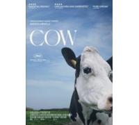 Cow (DVD)