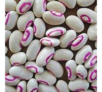 Cow-pea Pink Eyed Purple Hulled (1 Lb Seeds) A.K.a Southern Peas,Organic
