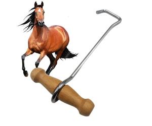 Cowboy Boots Hooks - Estrattore di stivali con manico in legno robusto, stivali di tasso di supporto | Supporto per scarpe senza terra, stivali di estratto facile da usare, utile per le persone