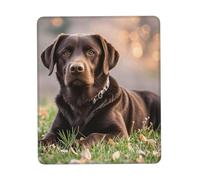 COWMGHLDFL Tappetino per mouse con labrador retriever marrone, tappetino per mouse wireless, tappetino per tastiera del computer, con gomma antiscivolo, tappetino quadrato da scrivania per ufficio