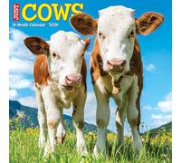 Cows 2026 12 X 12 Wall Calendar