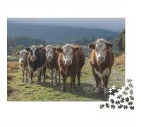 Cows Standing Grassland Puzzle 1000 Pezzi Cartone Spesso Per Adolescenti 12-18, Puzzle Allenamento Mentale, Divertimento Vacanza, Regalo Anniversario Per Adolescenti 38x26cm/1000pcs
