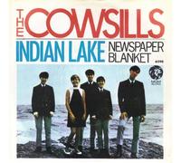 COWSILLS - newspaper blanket / indian lake