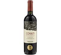 Coyam Colchagua Valley Chile 2020