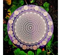 COYEUX Disco polarizzante EMFS Tesla, Φ12,8 cm Oscillatore Multi-Onda Bobina di Tesla Energizzazione dell'Acqua, energizzazione dell'Acqua e bilanciamento armonico, per la Meditazione