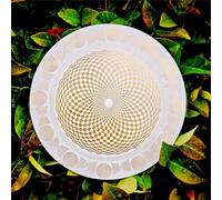 COYEUX Disco polarizzante EMFS Tesla, Φ12,8 cm Oscillatore Multi-Onda Bobina di Tesla Energizzazione dell'Acqua, energizzazione dell'Acqua e bilanciamento armonico, per la Meditazione