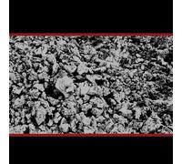 Mike Coykendall Half Past Present Pending (CD)