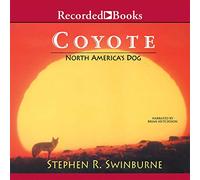 Coyote: il cane del Nord America