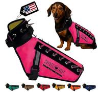 CoyoteVest Dog Harness Protection Vest, Reflective Dog Accessories with Spikes to Shield Your Pet from Raptor and Animal Attacks, Proudly Made in America (XX-Small, Pink)