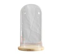 COYOUCO Espositore a Cupola a Cloche in Vetro con Base in Legno massello per l'esposizione di Piante, Ornamenti, Figurine, diametro15cm Altezza30/35cm,Dia15*H35cm
