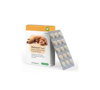 cp-pharma Relaxan forte | 30 compresse | Mangime complementare per cani di grossa taglia | Multivitaminici, minerali e aminoacidi di origine naturale | In caso di reazioni allo stress