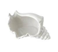 Cpolebev 1 Supporto per Candele A di Tea Light in Conchiglia, Piatto per Gioielli Conchiglia, Vassoio in Ceramica Bianca A Tema Spiaggia