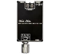 Cpolebev -1001B Modulo Amplificatore di Potenza Audio BT Mono da 100 W True Wireless