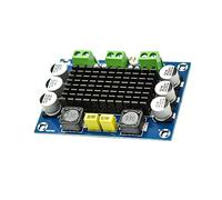 Cpolebev 100W TPA3116D2 Scheda Amplificatore Mono Scheda Amplificatore di Potenza Audio Classe DC 12V-26V Amplificatore di Potenza Audio Digitale Scheda Audio AMP