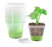 Cpolebev 12 Confezioni di Vasi Quadrati da Vivaio In Plastica da 3 Pollici, Vaso per Piante Trasparente con Base In Silicone Morbido per un Facile Trapianto, Vasi da Fiori