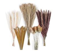 Cpolebev 120Pz Erba di Pampa Essiccata Bouquet Decor, Room Wedding Arrangiamenti, Fiori Secchi Autunnali Bundles Bulk Tall