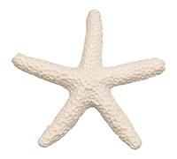Cpolebev 15 Pezzi Crema Dito Stelle Marine per La Decorazione di Nozze, Decorazioni per La Casa E Progetto Artigianale