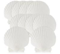 Cpolebev 15 Pezzi di Conchiglie di Mare Naturali Bianche, Conchiglie di Capesante da 4-4,7 Pollici per Fai-da-Te, Servire, Cuocere al Forno e più Durevoli 10-11 cm