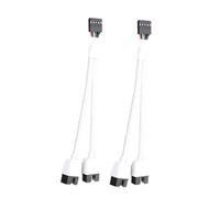 Cpolebev 2 Pezzi Scheda Madre del Computer USB 2.0 di Prolunga Audio HD da 9 Pin A Doppio 9 Pin Bianca