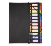 Cpolebev 24 Cartelle di File Espandibili Tascabili Trasparenti 12 Schede Colorate, Contiene 300 Fogli, Organizzatore di File, Indice Numerato Copertina 1PC
