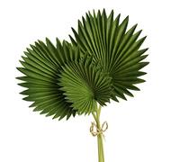 Cpolebev 3 Pezzi di Foglie di Palma Artificiali Mazzo di Plastica Verde Piante Finte Foglie di Simulazione Composizione Floreale Decorazione della Casa