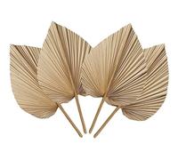 Cpolebev 4 Foglie di Palma Essiccate Naturali, Perfette per Decorare Foglie di Palma, Decorazioni Boho, Decorazioni per La Casa, Matrimoni