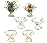 Cpolebev 6 Pezzi Geometrici Porta Piante d'Aria Airplants Rack Metal Plants Stand Fioriera Scaffali Himmeli Decor Tillandsia Contenitori